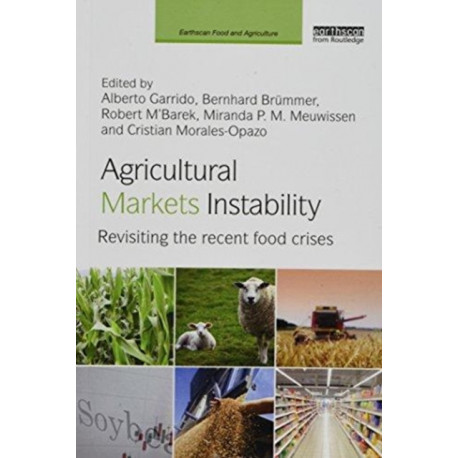 Agricultural Markets Instability: Revisiting the Recent Food Crises