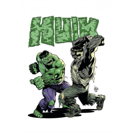 Incredible Hulk By Peter David Omnibus Vol. 5