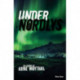 Under nordlys