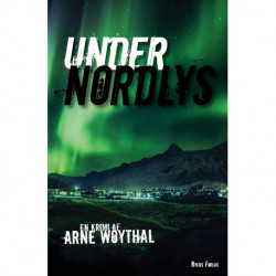 Under nordlys