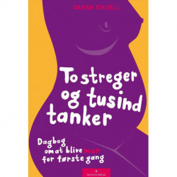 To streger og tusind tanker: dagbog om at blive mor for første gang