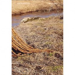 River-and-I: A multispecies story of loss and love on the brink