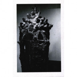 Vild, varm og varsom: En samling tekster af billedvævende kunstner Annette Holdensen