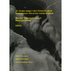 At skabe slægt i det Chthulucæne: Reproducer flerartet retfærdighed: Barokt Teknopatriarkat: Reproduktion / HEKS