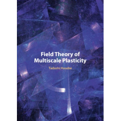 Field Theory of Multiscale Plasticity