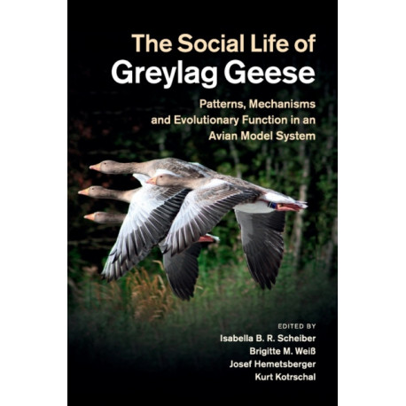 The Social Life of Greylag Geese: Patterns, Mechanisms and Evolutionary Function in an Avian Model System