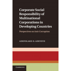 Corporate Social Responsibility of Multinational Corporations in Developing Countries: Perspectives on Anti-Corruption