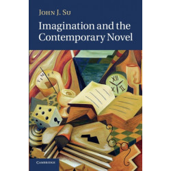 Imagination and the Contemporary Novel