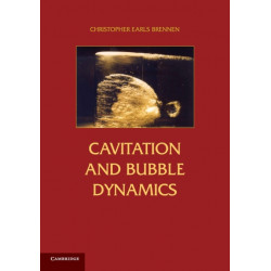 Cavitation and Bubble Dynamics