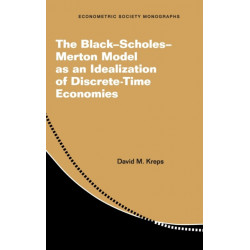 The Black–Scholes–Merton Model as an Idealization of Discrete-Time Economies