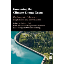 Governing the Climate-Energy Nexus: Institutional Complexity and Its Challenges to Effectiveness and Legitimacy