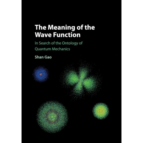 The Meaning of the Wave Function: In Search of the Ontology of Quantum Mechanics