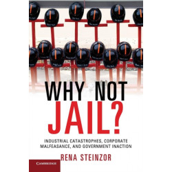 Why Not Jail?: Industrial Catastrophes, Corporate Malfeasance, and Government Inaction