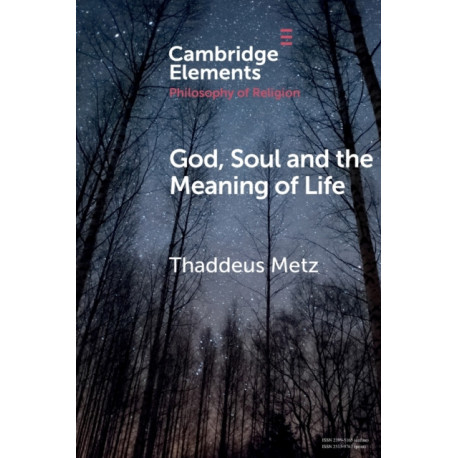 God, Soul and the Meaning of Life