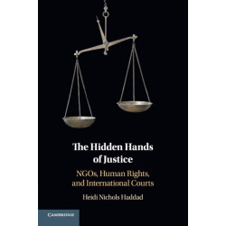 The Hidden Hands of Justice: NGOs, Human Rights, and International Courts
