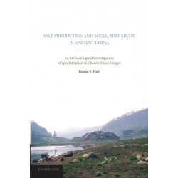 Salt Production and Social Hierarchy in Ancient China: An Archaeological Investigation of Specialization in China's Three Gorges