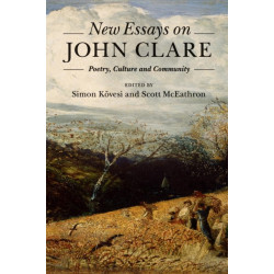 New Essays on John Clare: Poetry, Culture and Community