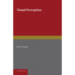 Visual Perception