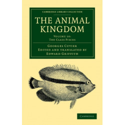 The Animal Kingdom: Arranged in Conformity with its Organization
