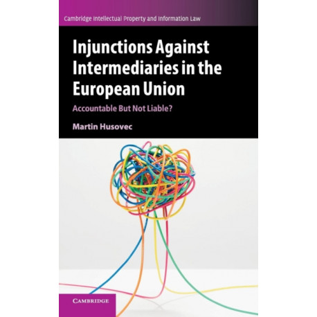 Injunctions against Intermediaries in the European Union: Accountable but Not Liable?