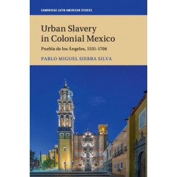 Urban Slavery in Colonial Mexico: Puebla de los Angeles, 1531–1706