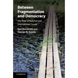 Between Fragmentation and Democracy: The Role of National and International Courts