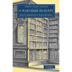 A Wayfarer in Egypt