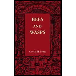 Bees and Wasps