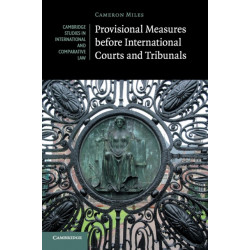 Provisional Measures before International Courts and Tribunals