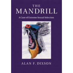 The Mandrill: A Case of Extreme Sexual Selection