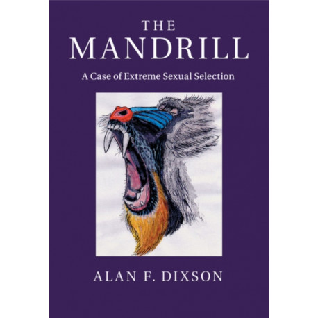 The Mandrill: A Case of Extreme Sexual Selection