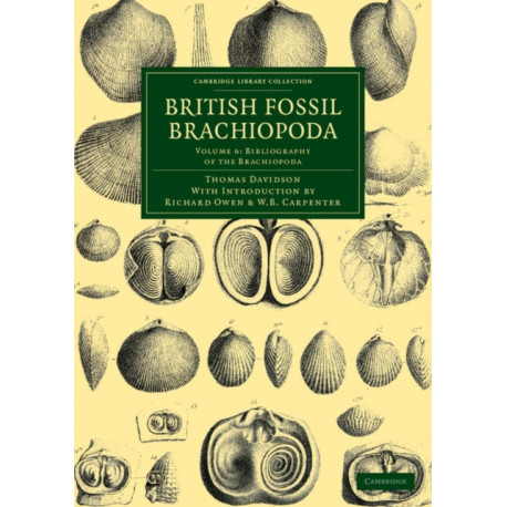 British Fossil Brachiopoda