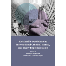 Sustainable Development, International Criminal Justice, and Treaty Implementation