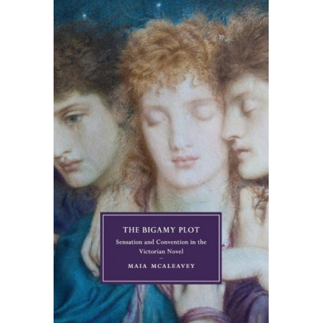 The Bigamy Plot: Sensation and Convention in the Victorian Novel