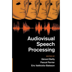 Audiovisual Speech Processing