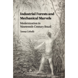 Industrial Forests and Mechanical Marvels: Modernization in Nineteenth-Century Brazil