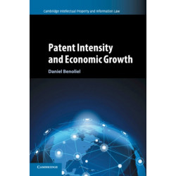 Patent Intensity and Economic Growth