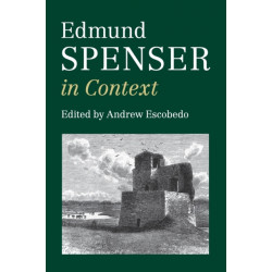 Edmund Spenser in Context