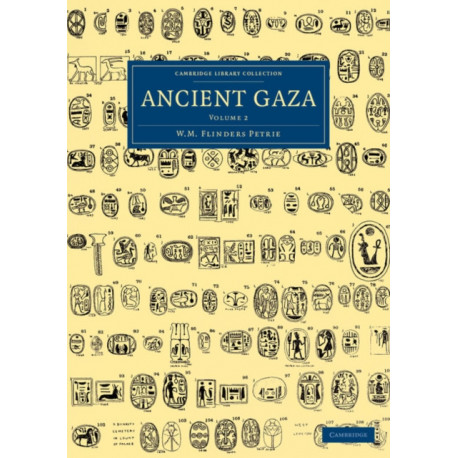 Ancient Gaza: Volume 2