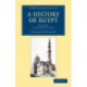 A History of Egypt: Volume 6, In the Middle Ages