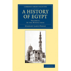 A History of Egypt: Volume 6, In the Middle Ages