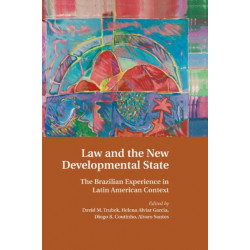 Law and the New Developmental State: The Brazilian Experience in Latin American Context