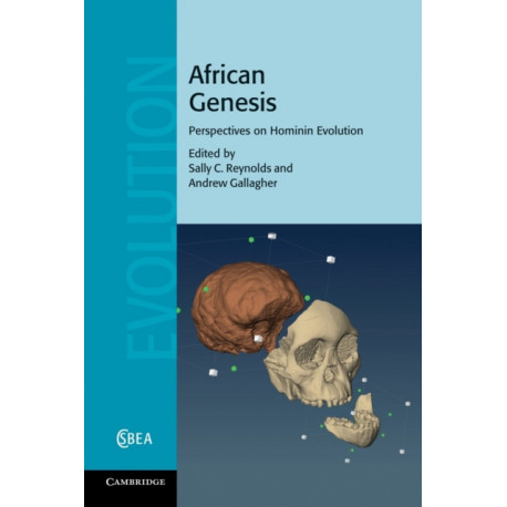 African Genesis: Perspectives on Hominin Evolution