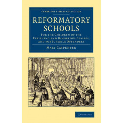 Reformatory Schools: For the Children of the Perishing and Dangerous Classes, and for Juvenile Offenders