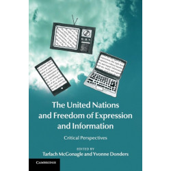 The United Nations and Freedom of Expression and Information: Critical Perspectives