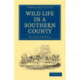 Wild Life in a Southern County