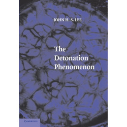 The Detonation Phenomenon
