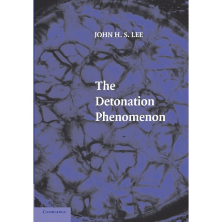 The Detonation Phenomenon