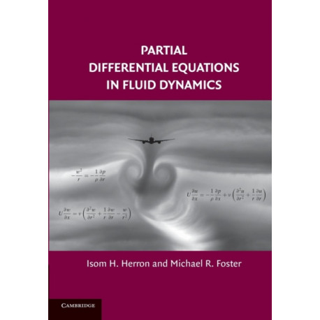 Partial Differential Equations in Fluid Dynamics