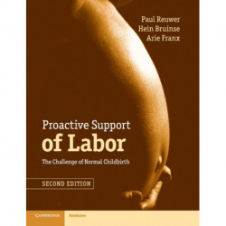 Proactive Support of Labor: The Challenge of Normal Childbirth